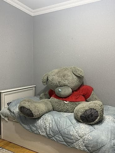 tedi ayi: Böyük ölçülü yumşaq oyuncağ ayı 1.80 sm dir - Rəng: boz - Üzərində — 2