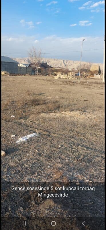 5 sot, Tikinti, Kupça (Çıxarış)