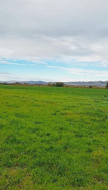 Mənzillər: Kənd təsərrüfatı — 3