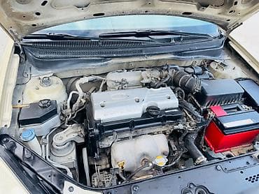 Автозапчасти: Kia Rio: 1.4 л | 2008 г. Седан — 5