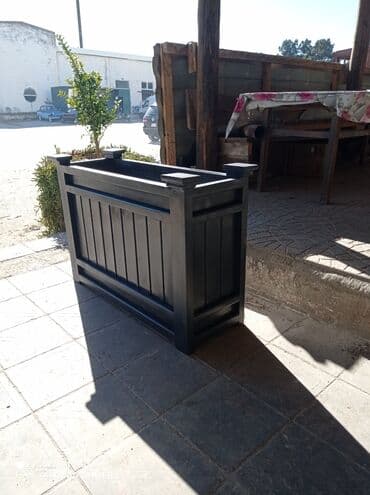 Digər bitkilər: Bir başa sexdən.Sex qiymətinə. ♦️Endrim 2025 il sonu ▶️İstenilən — 12