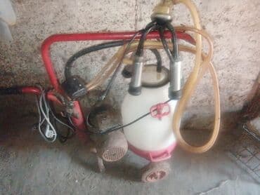 Tək bidon, Azərbaycan, Paslanmaz bidon