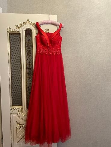 dress: Paltar bir defe 3-4saat geyınılıbLady sharmdan 500azn alınıb — 2