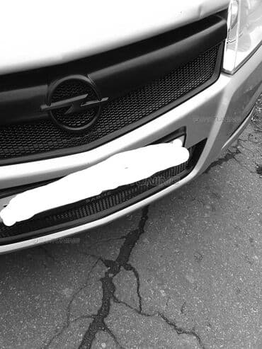 niva radiator barmaqlığı: Opel ASTRA H, Ünvandan götürmə, Ödənişli çatdırılma — 12