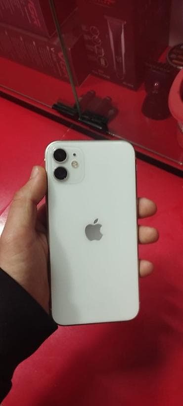 IPhone 11, Ağ