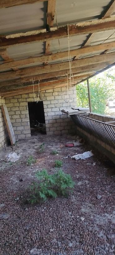 binədə torpaq: 28 sot, Kənd təsərrüfatı, Mülkiyyətçi, Kupça (Çıxarış) — 7