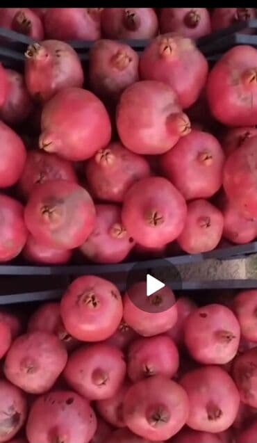 бак для воды в квартиру: Təzə nar satılır. Nə qədər istəsəniz var — 1