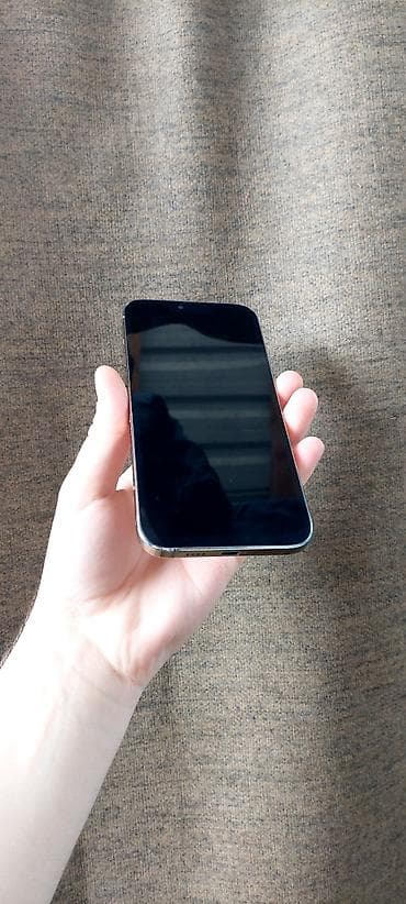 iphone 13 dubai: IPhone 13 Pro Max, 256 GB, Matte Gold — 4