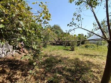 gence şeheri: 22 sot, Kənd təsərrüfatı, Mülkiyyətçi, Kupça (Çıxarış) — 7