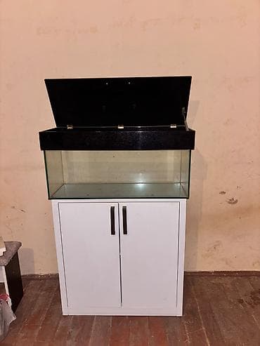 akvariyum: Dördbucaq akvarium, Boş, 80 l — 4