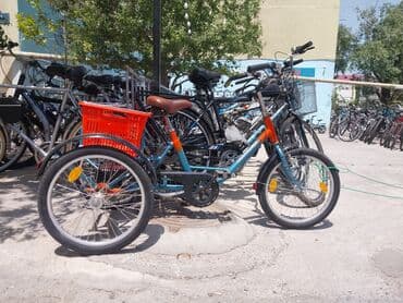 русский язык 6 класс л.м бреусенко: İşlənmiş Dörd təkərli Uşaq velosipedi 20", Ödənişli çatdırılma, Rayonlara çatdırılma, Ünvandan götürmə — 4