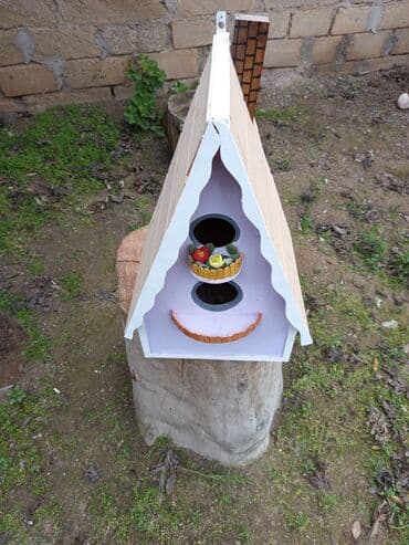 dibcək gulu: Quş yuvalari — 4
