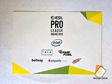 electro gitara: CS:GO üzrə Natus Vincere (NaVi) komandasının avtoqrafı, Odense 2019 — 2