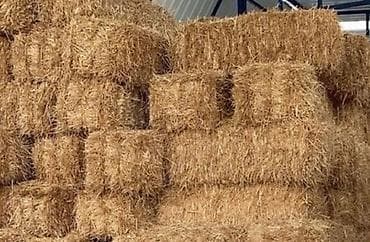 Yemlər: Məhsul: Preslənmiş 1-ci biçim yonca vələmir presi satılır.Dənəsi — 3