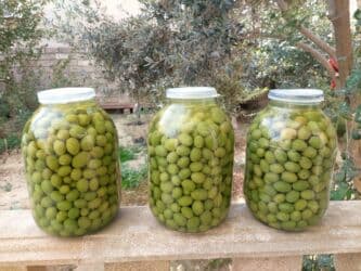 Şirniyyat məhsulları: Turşular — 2