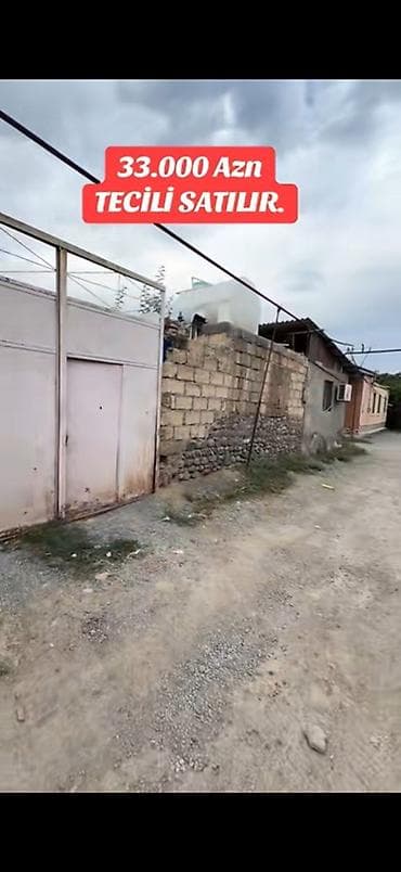 Tikinti