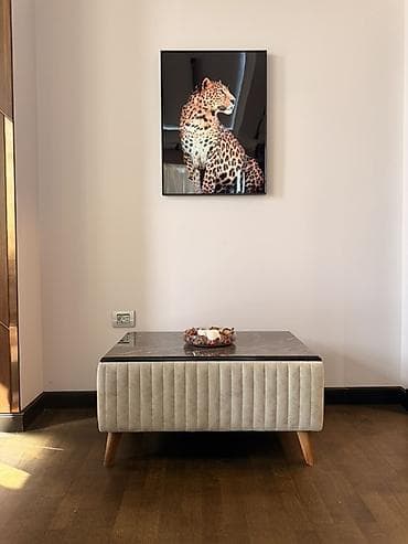 Вешалки: Раскладной диван, Б/у, Без подьемного механизма — 3