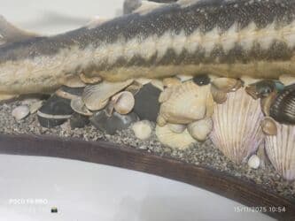 qazıntı işləri: Sifarişlə əl işləri | Suvenirlər — 5