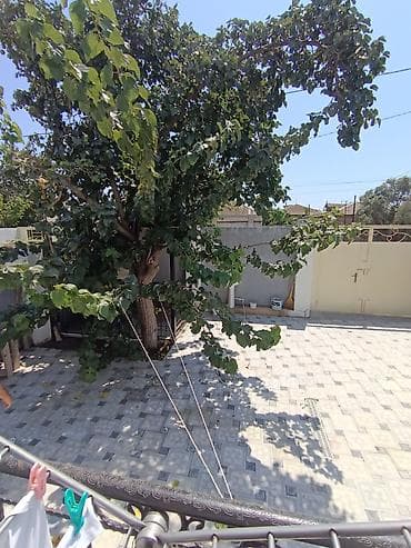 pirallahıda evlər: 4 otaqlı, 100 kv. m, Kredit yoxdur — 4