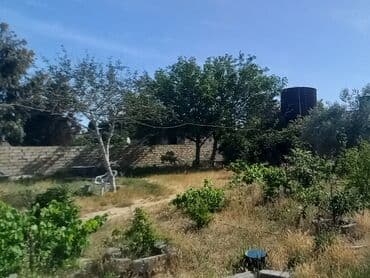 bakıxanov qəsəbəsi: 7 sot — 4