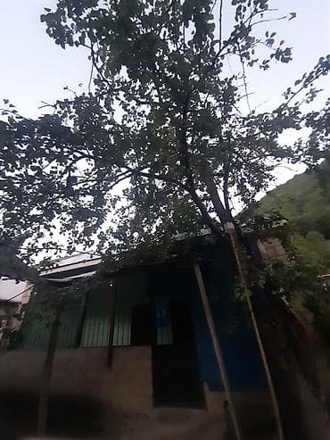 bineqedi heyet: 500 kv. m, 2 otaqlı, İşıq — 9