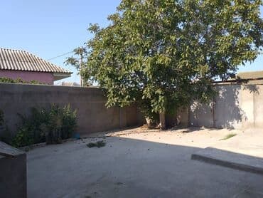 binə südçülük sovxozu həyət evləri: 130 kv. m, 3 otaqlı, Kanalizasiya, Qaz, Su — 11