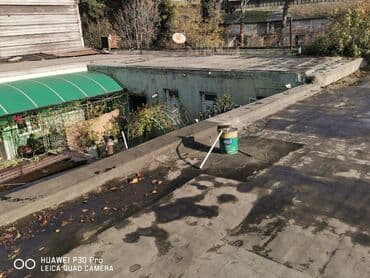 попугай корелла: Məhsul: Nimfa tutuquşuları (cüt və qəfəs ilə) Təsvir: - Şəkildə — 3