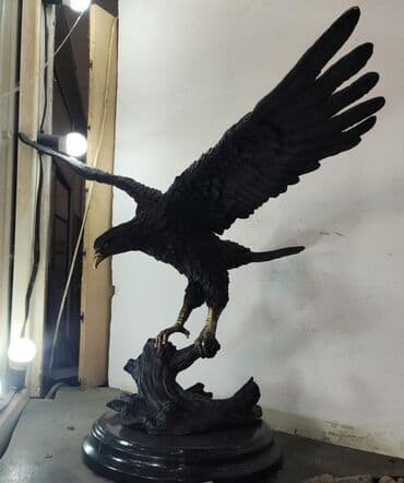 qar kureciyi: Fiqur, rəng - Qara — 1