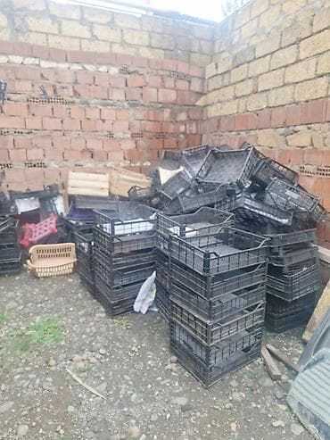 mağaza üçün konteyner: Plastik qəfəslər/yeşiklər – toplu - Material: bərk plastik - Rəng — 2