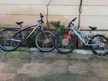 Sadece arxa oxu yoxdu oda 12 azn di al tax sür qiymetdende o pul lalafo.az -da Sadece arxa oxu yoxdu oda 12 azn di al tax sür qiymetdende o pul