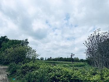 sumqayıt ev alqı satqısı 2018: Для сельского хозяйства, Купчая — 5