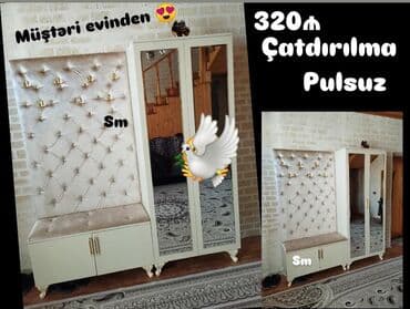 şifaner modelleri: Yeni, Açılan, Düz dolab, Dəhliz dolabı — 1