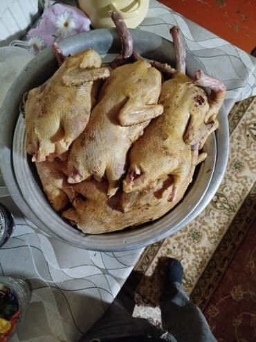 Ətlik ördək – təmiz təsərrüfat məhsulu - Şəkillərdə: kəsilmiş