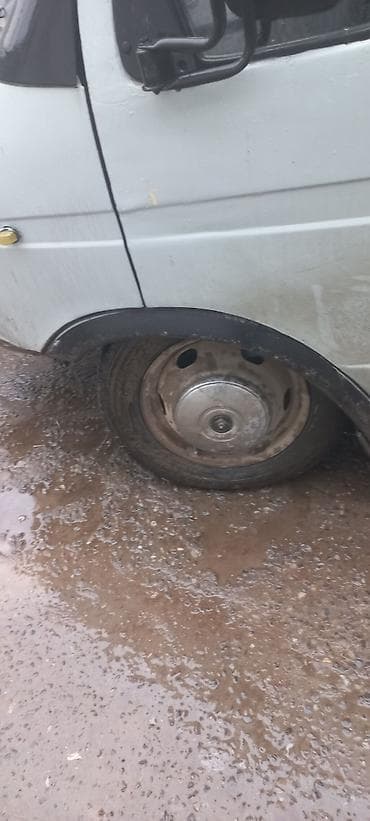 K/t heyvanları və malları: Satış üçün: Qoyun-quzu və buzovlar - Ana qoyun balası ilə birlikdə — 8