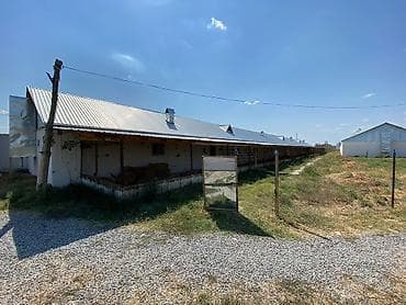 3 otaqlı mənzillərin satışı: Ferma və təsərrüfat kompleksi 📍Ünvan : Ağsu rayonu • Sahə : 85 sot • — 2