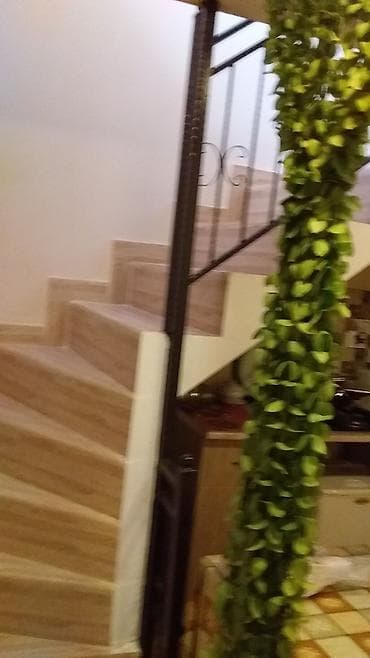 razin heyet evleri: Obyekt: Kiçik həyətli, tam yaşayışlı fərdi ev Təsvir: - Sakit — 7