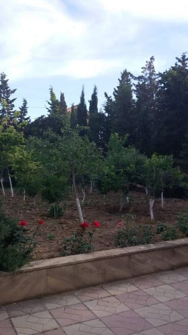 heyet evi mastaga: Bilgəh qəs., 200 kv. m, 4 otaqlı — 25