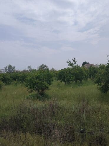 kirayə ev 3 otaq: Kürdəmir, 3000 kv. m, 2 otaqlı, Hovuzsuz, Qaz, İşıq, İnternet — 7