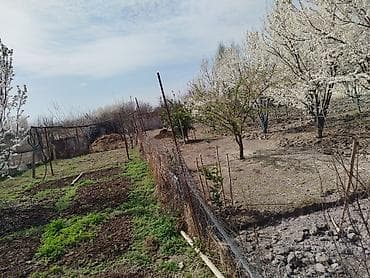 torpaq qəbələ: 10 sot, Tikinti, Mülkiyyətçi, Kupça (Çıxarış) — 7