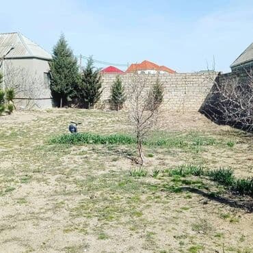 снять дачу в бузовнах: Bakı, Buzovna, 200 kv. m, 3 otaqlı, Hovuzsuz, Su, Telefon, İşıq — 4
