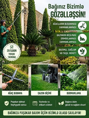en gozel dibcek gulleri: AĞACLARIN BUDANMASI 🌳✂️ Ağacların peşəkar budanması və dərmanlanması — 1
