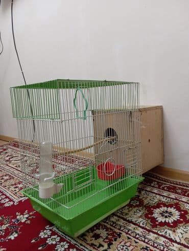 Xaltalar, qayışlar və tasmalar: Salam göründüyü kimidi real alıcıya endirim olajax Quş qəfəsi və — 4