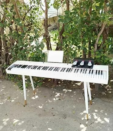 Piano, Rəqəmsal, Yeni, Pulsuz çatdırılma