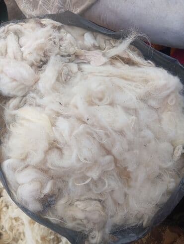 yun: Təbii qoyun yunu – açıq krem/ağ rəngdə, yumşaq və lifli struktur — 1