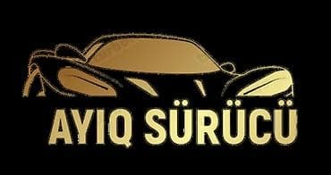 elit park taksi: Ayıq sürücü, 49 yaş, stajı 10 il, (C) — 2