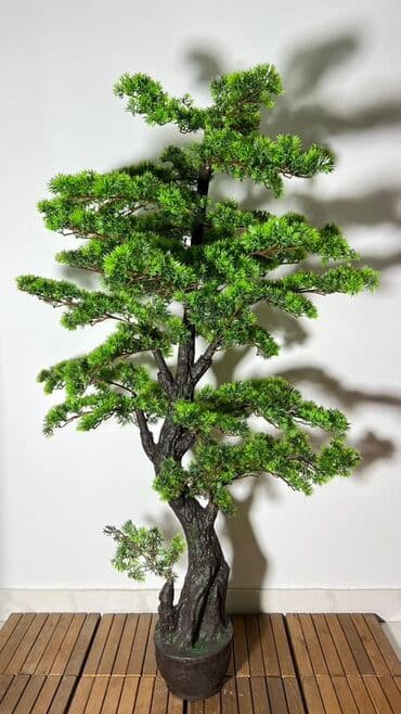 budda: Süni bonsai ağacı – dekorativ içməkan yaşıllaşdırma üçün - Realistik — 3