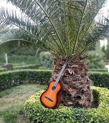 gitara temiri: Klassik gitara 🏷️Valencia VC 264 CSB 💵Qiymət: 140 azn Mağazamız — 1