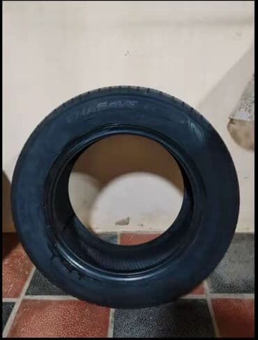 22 5 təkər: 195.65.15 — 2