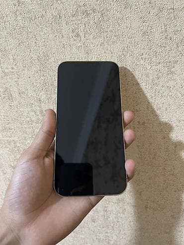 the last of: IPhone 12 Pro Max, 128 GB, Matte Gold, Face ID — 2