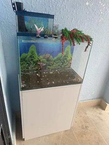 afcarka balasi erkey: Akvarium-şkaf, Boş, 90 l, Ünvandan götürmə — 3